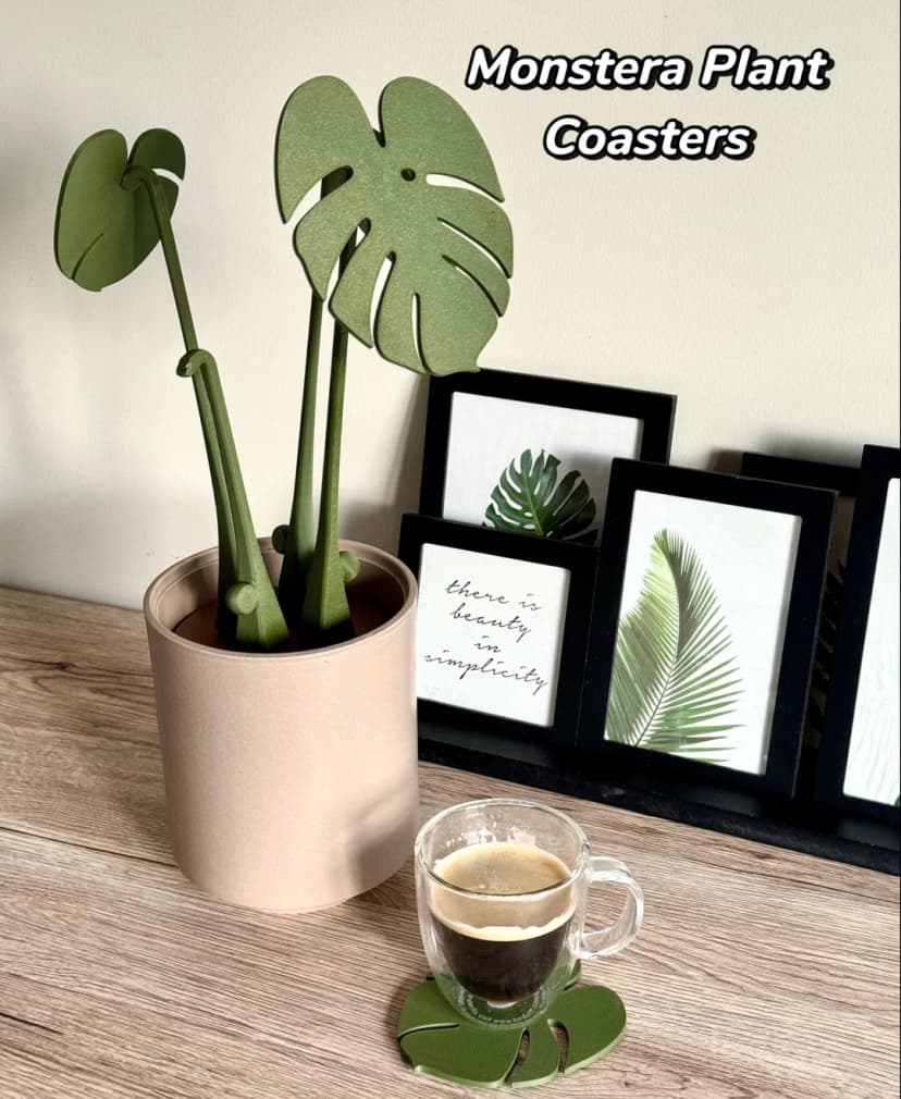 Posavasos Planta Monstera