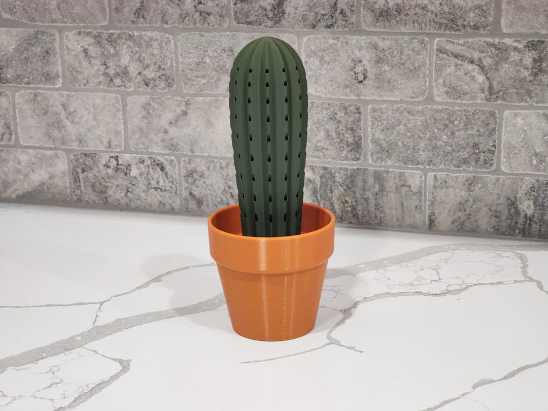 Cactus Dispensador de Mondadientes - Image 2