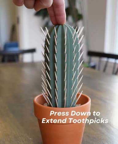 Cactus Dispensador de Mondadientes