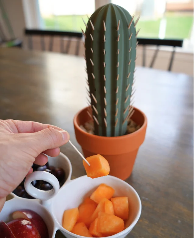 Cactus Dispensador de Mondadientes - Image 5